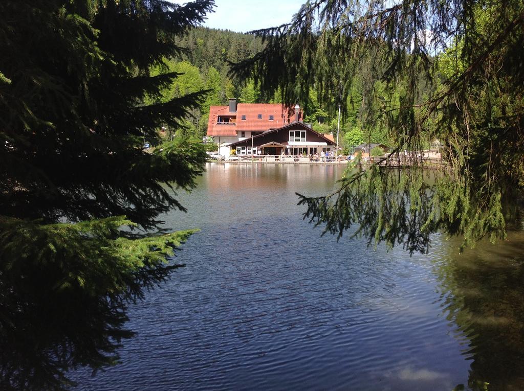 טריברג Self-Check-In Ferienwohnungen & Apartments Am Bergsee מראה חיצוני תמונה